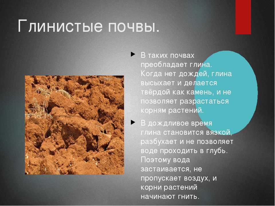 Глинистые грунты определение. Глинистая почва. Глинистые и песчаные почвы. Глина почва. Глинистая почва характеристика.